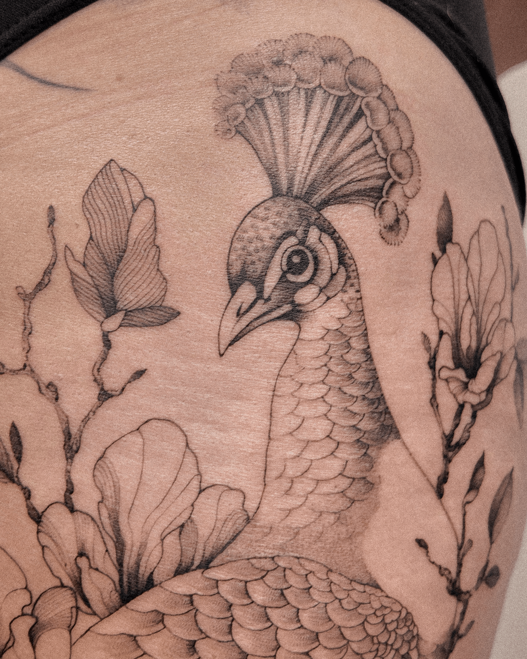 Individualus tatuiruotės dizainas, Vilnius ir Kaunas