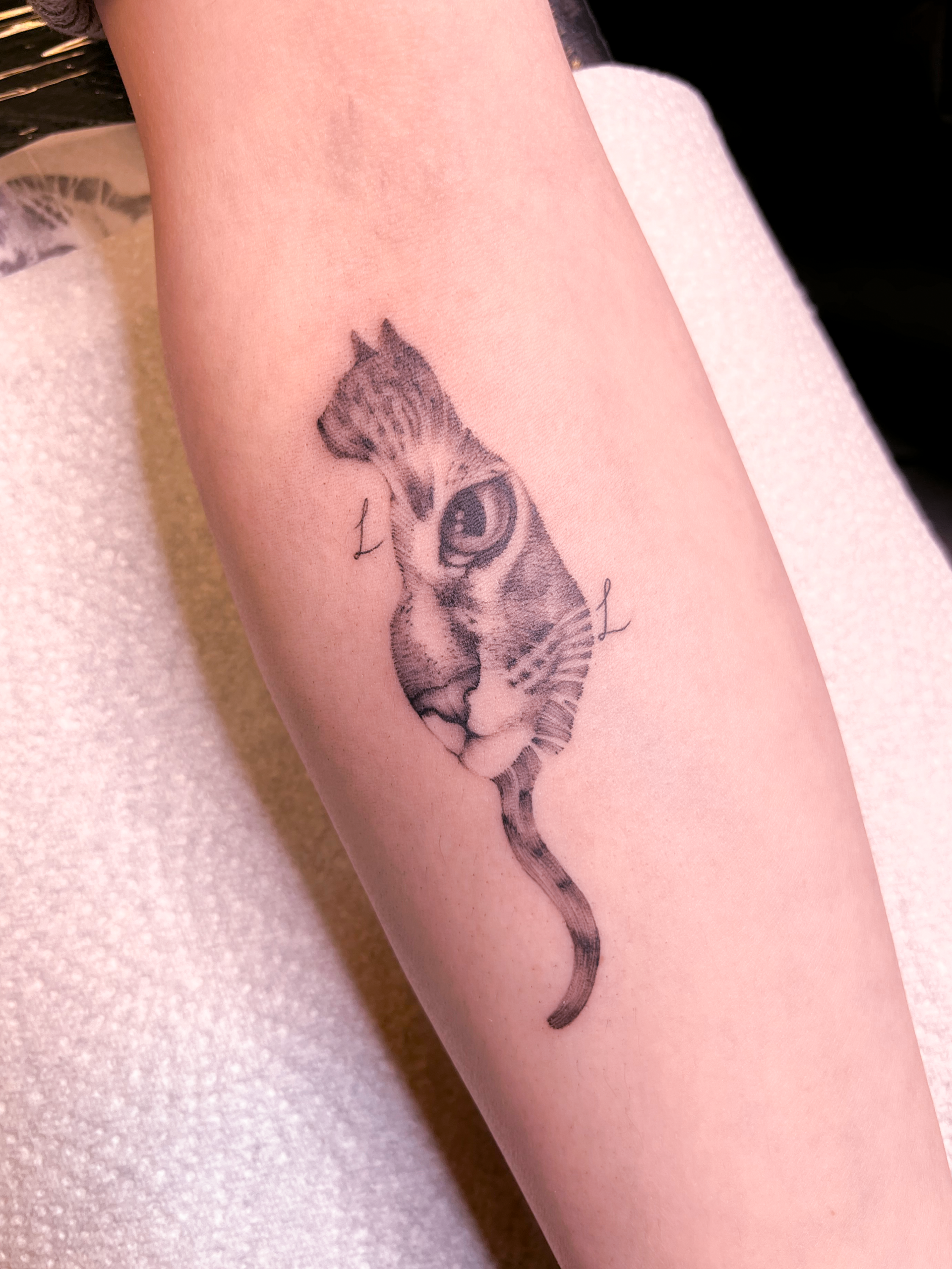 Graphic tattoo